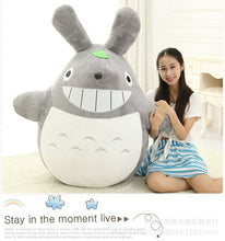 Load image into Gallery viewer, Big Totoro Plush